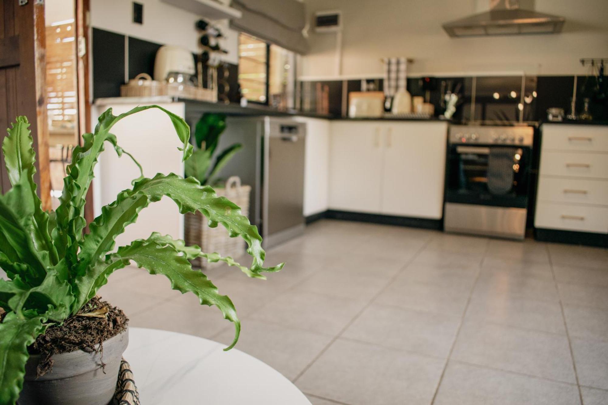 No 1 Dicks Street Apartment Гауік Екстер'єр фото